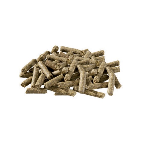 Paardenvoer voor jonge veulens en paarden