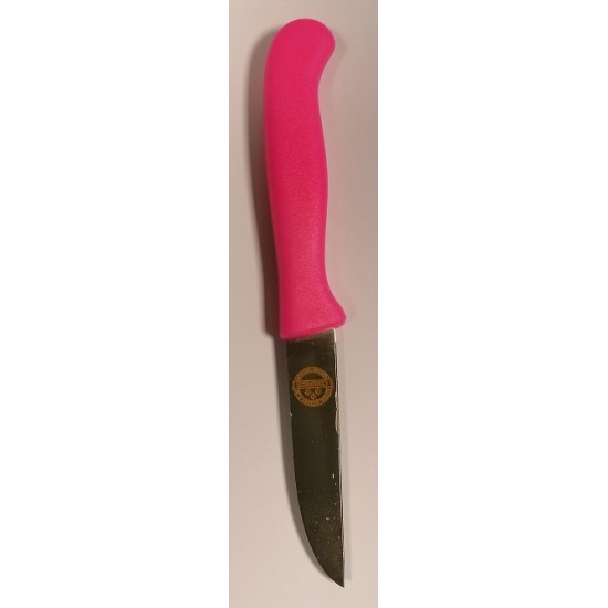 Friedrich Herder Constant schilmes kunststof neon roze