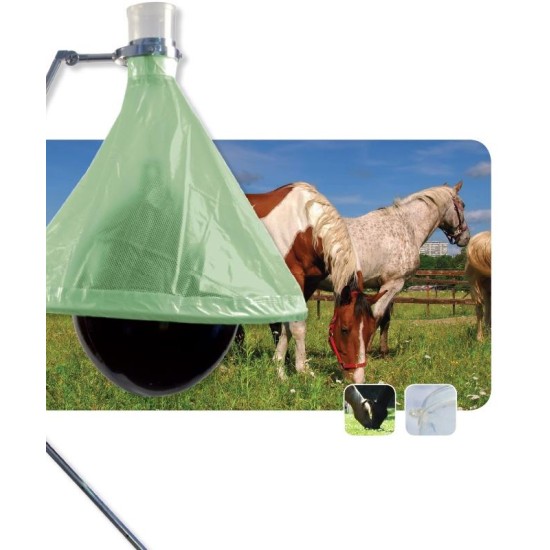 dazen vangen zwarte bal