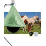 dazen vangen zwarte bal