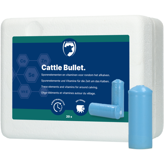 Cattle Bullet Droogstandbolus 20 Stuks