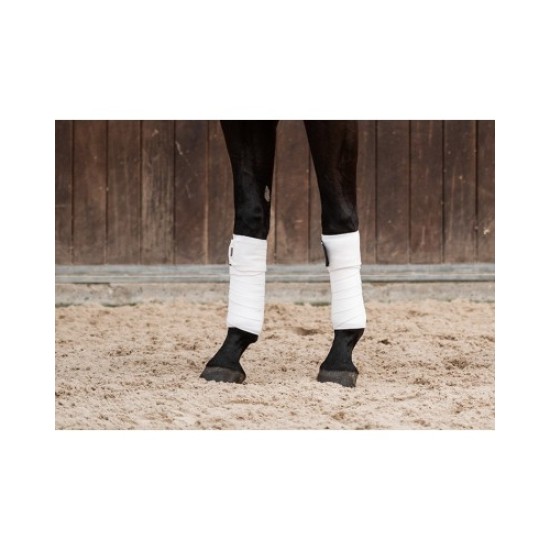 Showtime bandages wit