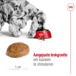 Royal Canin Medium Ageing 10+ 3kg