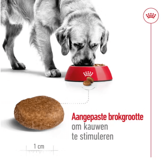 Royal Canin Maxi Adult 5+ 4kg
