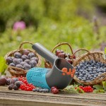 Gardena Combisysteem Bessenplukker