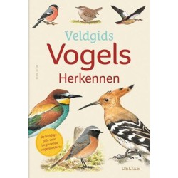 Veldgids vogels herkennen