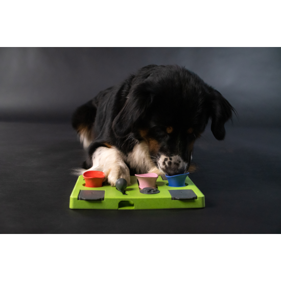 Puzzel hond - Eat Slow Live Longer
