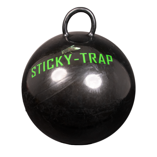 Dazen vangen Sticky bal