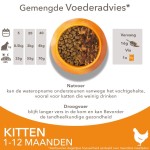 IAMS kattenvoer kitten/junior Chicken 10kg