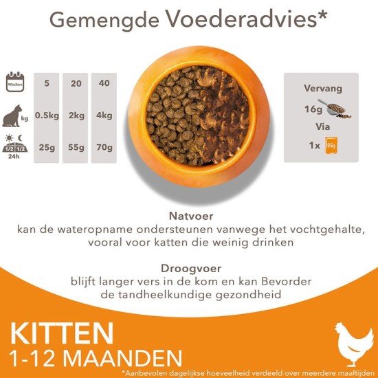 IAMS kattenvoer kitten/junior Chicken 10kg