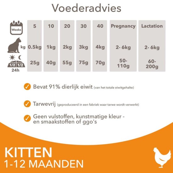 IAMS kattenvoer kitten/junior Chicken 10kg