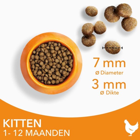IAMS kattenvoer kitten/junior Chicken 10kg