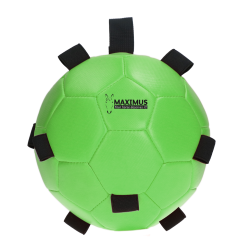 Maximus Fun Play Ball Groen