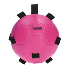 Maximus Fun Play Ball roze