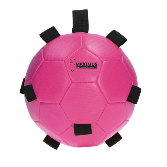 Maximus Fun Play Ball roze