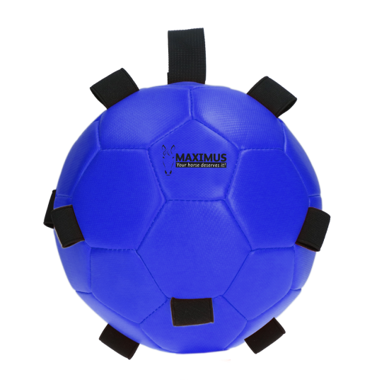 Maximus Fun Play Ball blauw