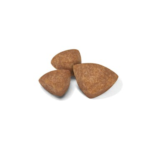 Royal Canin X-Small Puppy 1,5kg