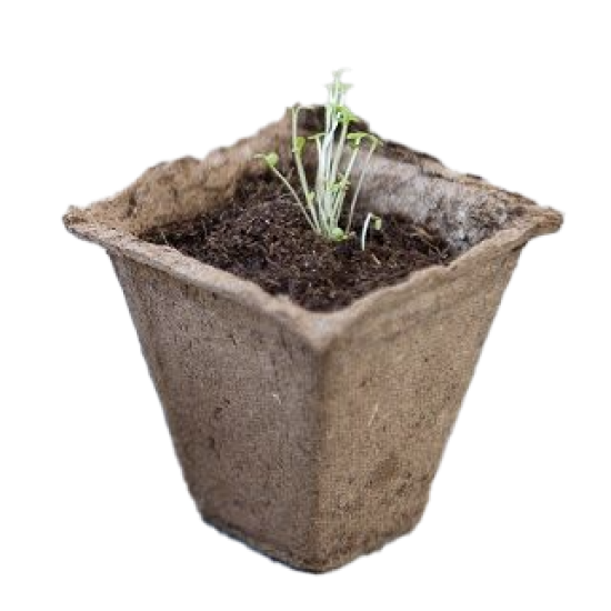 Biologisch afbreekbare kweekpotjes 5x5x5cm