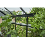 Kweekschap Birdlip 48 zwart Kweekschap Birdlip 48 zwart