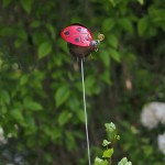 Metalen tuinstekers assorti