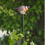 Metalen tuinstekers assorti