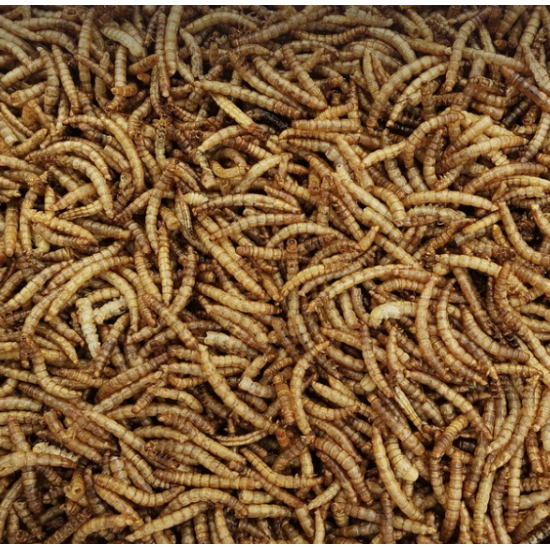 Meelwormen gedroogd 1kg