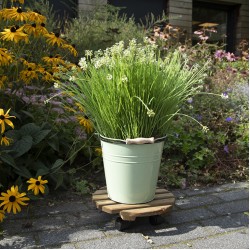 Planttrolley rond hout 100kg