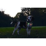 Safety Gear Dogini Hondenhalsband Multi 65cm