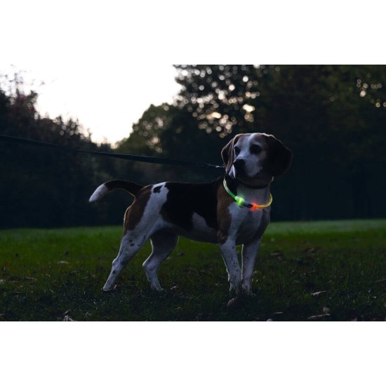 Safety Gear Dogini Hondenhalsband Multi 65cm