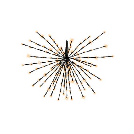 zwarte poolster 45cm