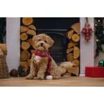 Beeztees Kerstsjaal – Hondenkleding – Rood – One Size