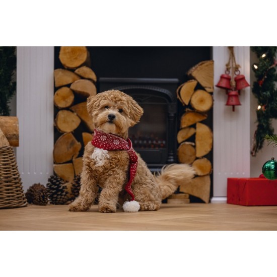 Beeztees Kerstsjaal – Hondenkleding – Rood – One Size
