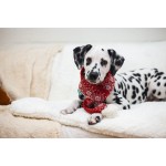 Beeztees Kerstsjaal – Hondenkleding – Rood – One Size