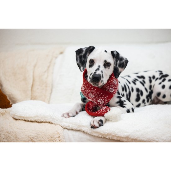 Beeztees Kerstsjaal – Hondenkleding – Rood – One Size