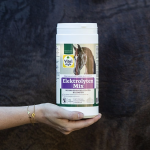 extra zout voor paarden