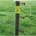 Elastisch koord wit Gallagher