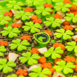 Excellent Horse Snuffelmat