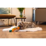 Beeztees Paas Flostouw Wortelen