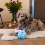 Pluche Paaskonijn Flip Blauw