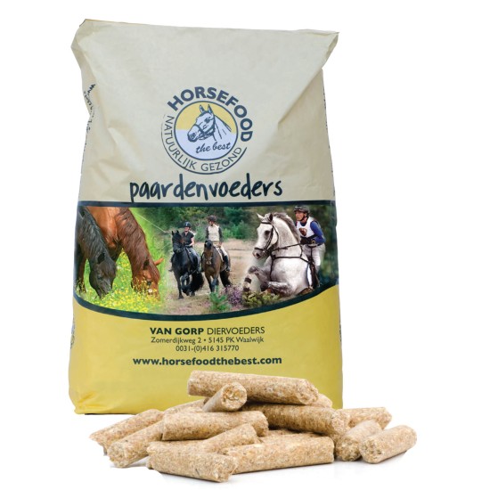 Complete sportbrok paarden