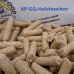 Complete sportbrok paarden