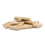 Complete sportbrok paarden