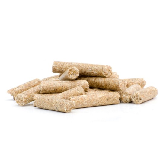 Complete sportbrok paarden