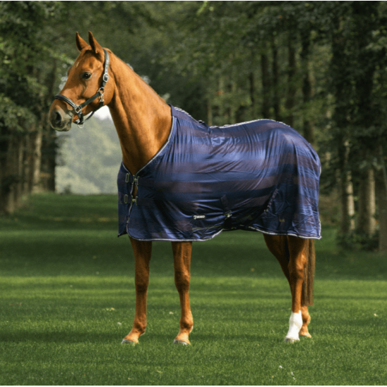 Vliegendeken met strepen blauw