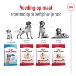 Royal Canin medium adult 12KG