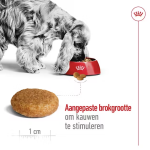 Royal Canin medium adult 12KG