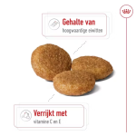 Royal Canin medium adult 12KG