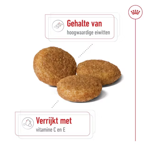 Royal Canin medium adult 12KG