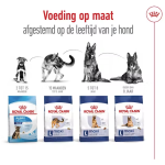 Royal Canin maxi adult 3kg