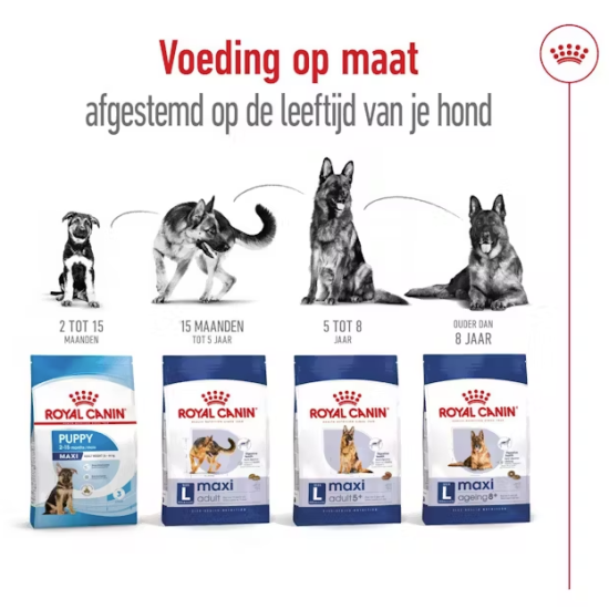 Royal Canin maxi adult 3kg